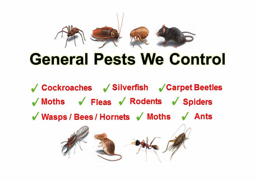 pest-control.jpg